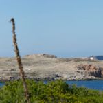 Bay of Fornells Menorca
